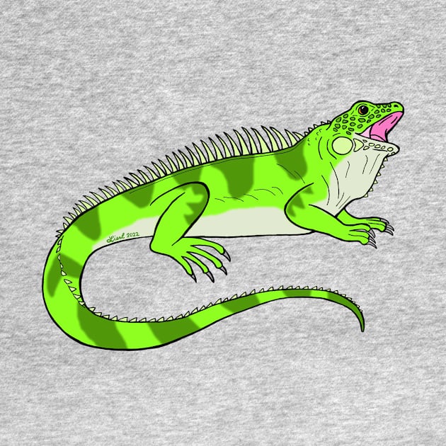 Iguana by HonuHoney